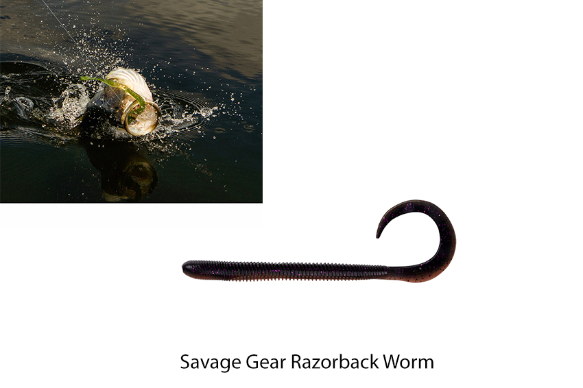 Savage Gear Razorback Worm