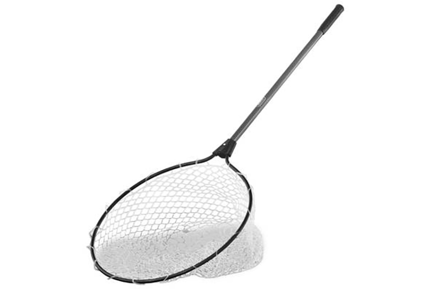 Guadino Area Evo Seika