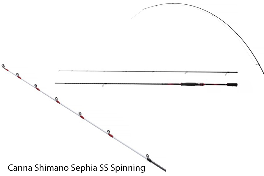 Canna Shimano Sephia SS Spinning