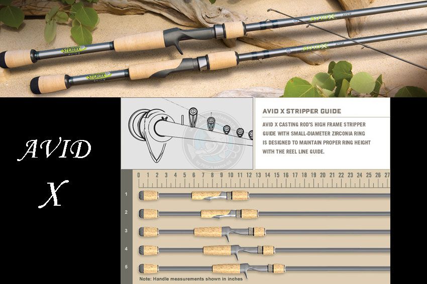 AVID X SPINNING