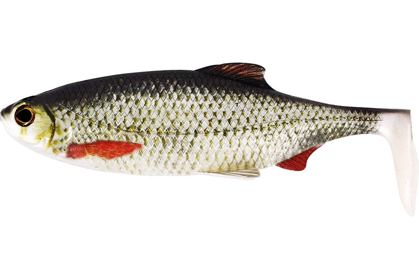 Westin Ricky de Roach Shadtail