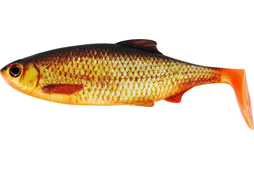 Westin Ricky de Roach Shadtail