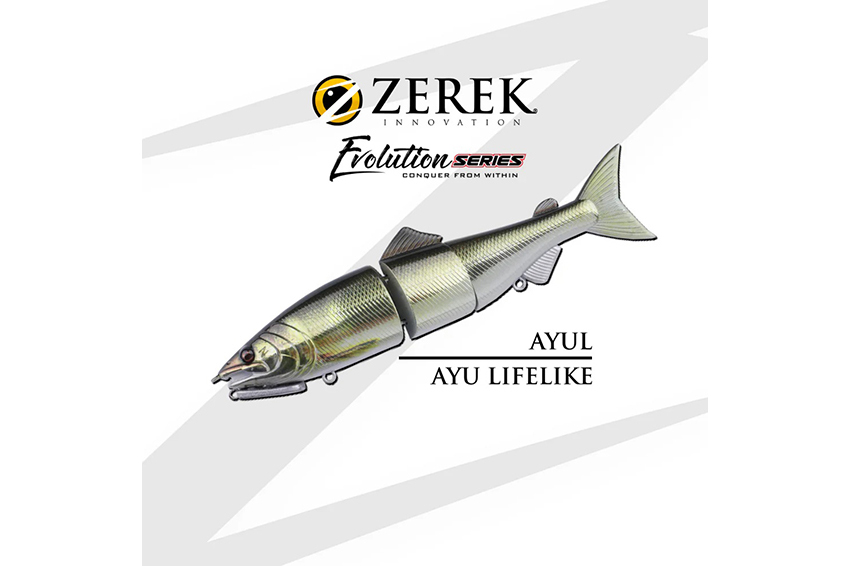 Zerek Serie Evolution Affinity 160mm 41gr